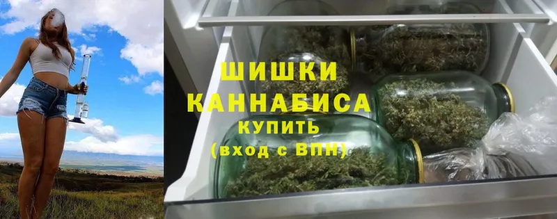 Конопля сатива  где купить наркоту  Дальнереченск 